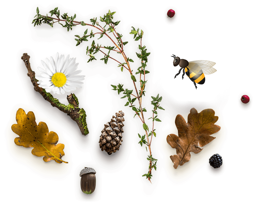 home_herbal_slider_pic